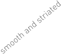 smooth and striated